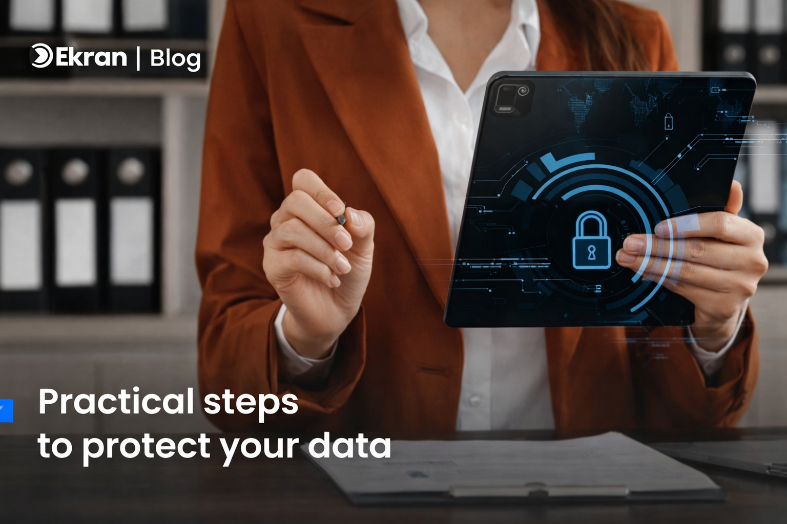 Data safety preview
